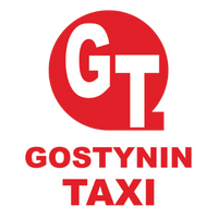 Gostynin Taxi logo